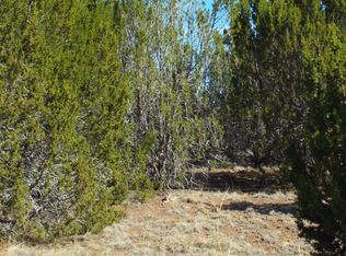 139 County Road 5101, Concho, AZ 85924