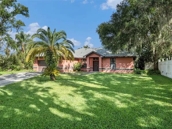 23211 Dover Dr, Land O Lakes, FL 34639