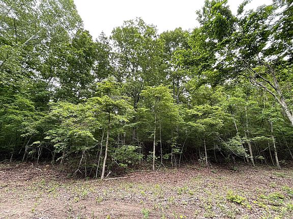 4th image of 000 County Road 513a
