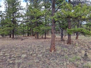 104 Chap Way, Hartsel, CO 80449