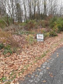 0 Woodland Blvd, Portage, PA, 15946