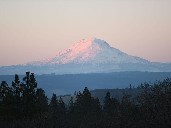 Northward view (Mt. Adams)