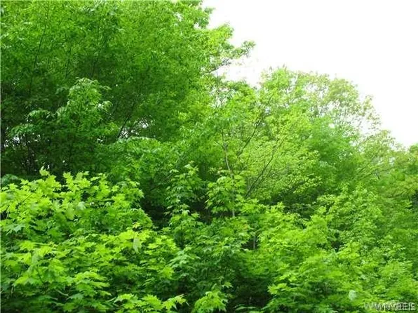 Dublin Rd Lot 12, Salamanca, NY 14779