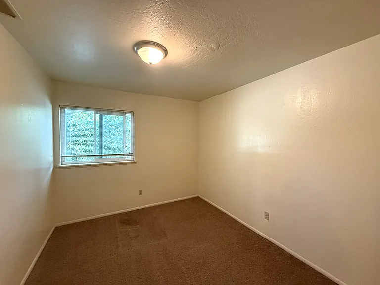 390 Ash St #4 — Photo 3
