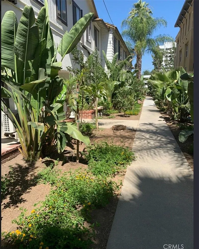 1 bed, 650 sqft, $2,300 — Photo 1