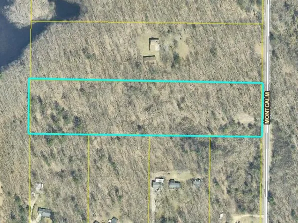 14925 Montcalm Ave, Gowen, MI 49326