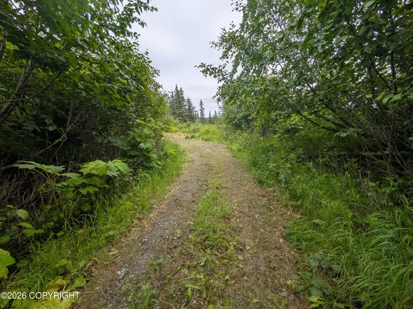 67118 Deep Creek Rd, Ninilchik, AK 99639