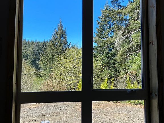 Views out of downstairs bay window