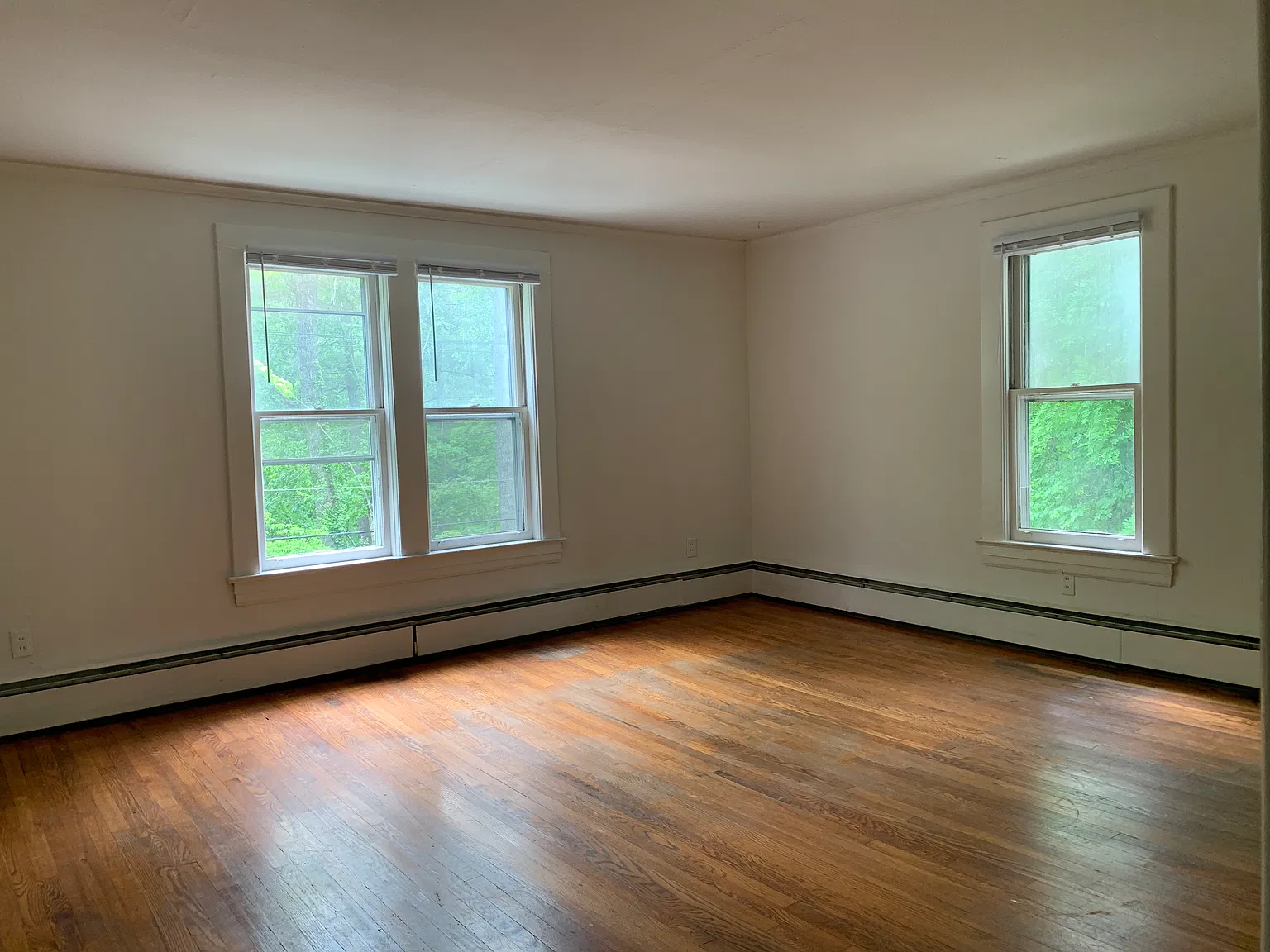 1 bed, $1,100 — Photo 4