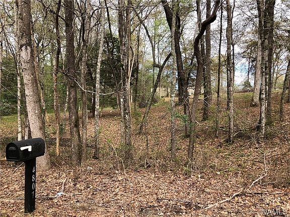 5th image of 4807 Carolina Dr