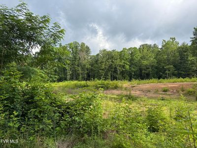 Tbd Rhea Ln, Mountain City, TN, 37683