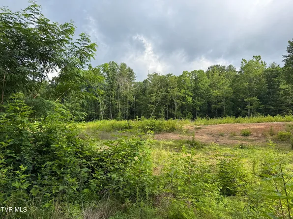 Tbd Rhea Ln, Mountain City, TN 37683