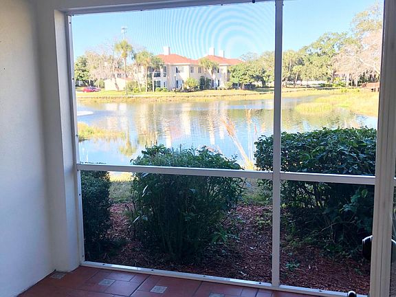 5th image of 10338 Carrollwood Ln APT 102