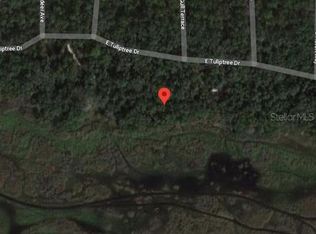9946 E Tuliptree Dr, Inverness, FL 34450