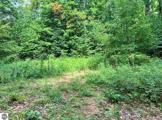 1 Mountain View Ct #A, Bellaire, MI 49615