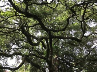 4429 Mildred St, Bellaire, TX 77401