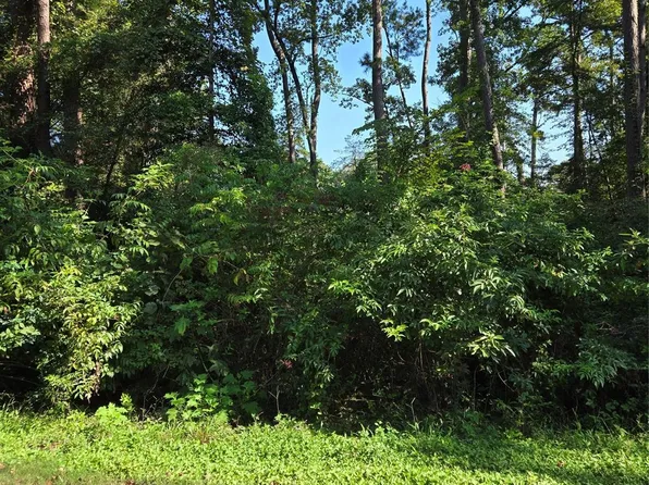 237 White Oak Lot 7, Burkeville, TX 75932