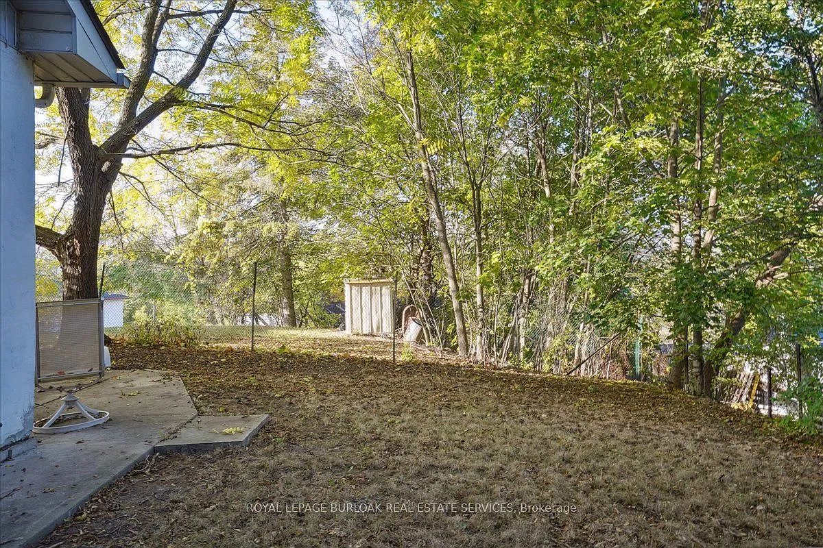 3 bed, $3,000 — Photo 4