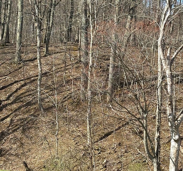 2nd image of Tbd Forest Hills Dr