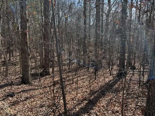 0 Alfred Ln, Fort Mill, SC 29715