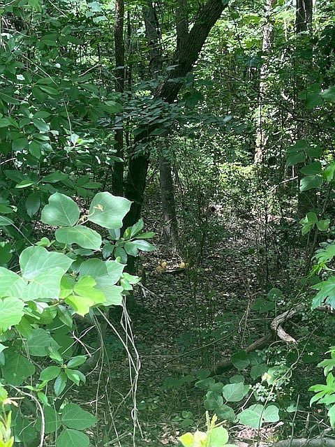 1st image of 0 Bunker Ln