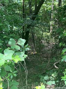 0 Bunker Ln, Westminster, SC, 29693