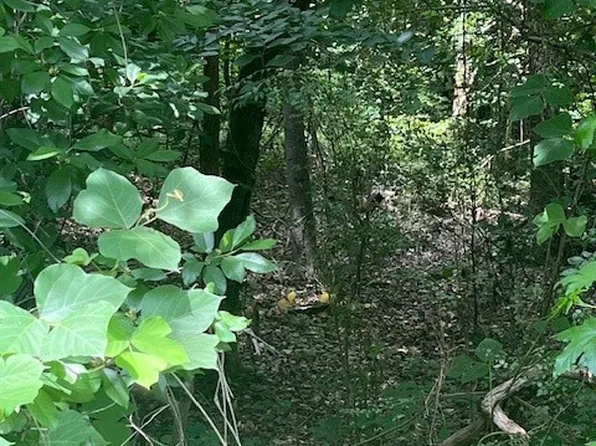 0 Bunker Ln, Westminster, SC 29693