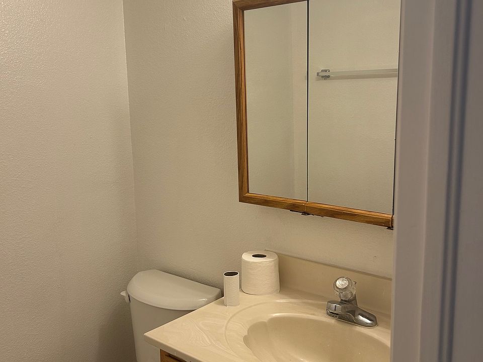 Downstairs guest bathroom