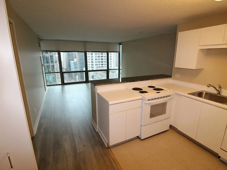 2 E Erie St #1901 — Photo 7