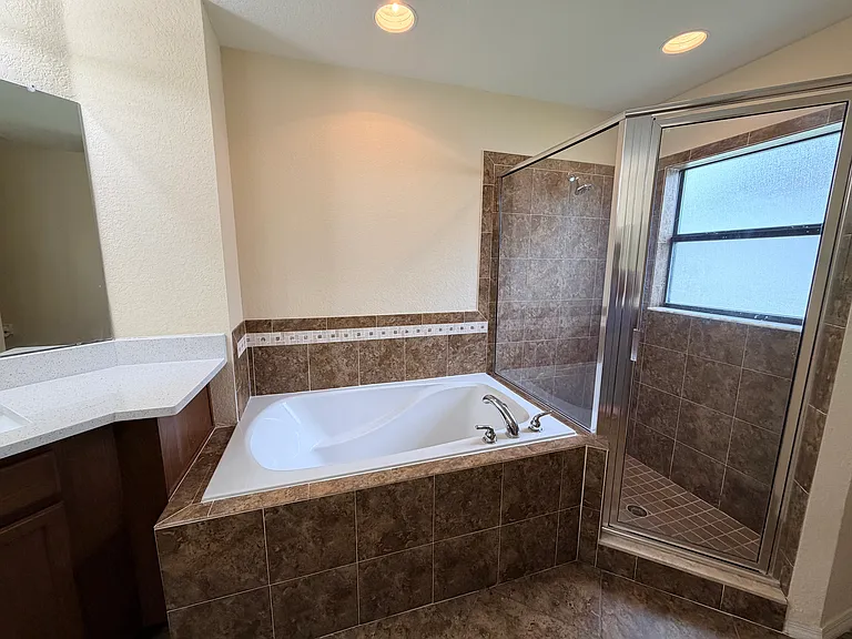 Master Tub and Shower