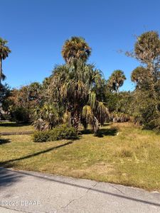 257 Laws Ln, Ormond Beach, FL, 32174