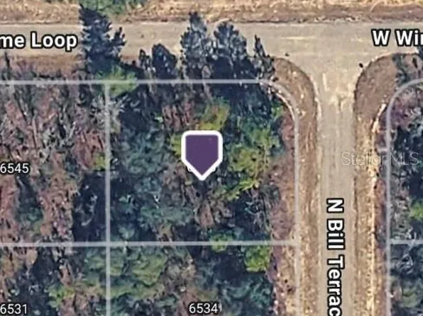 6548 N BILL TERRACE LOT 12, CITRUS SPRINGS, FL 34434