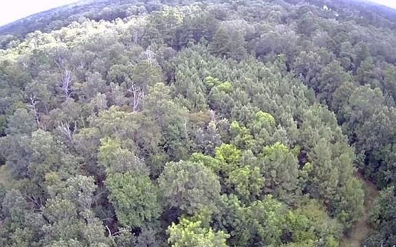 2nd image of 844 Pd Selman Rd