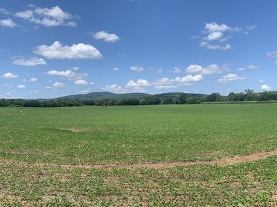 1533 State Route 50, Pelham, TN, 37366