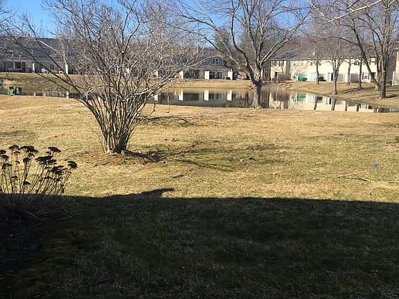 Quiet setting with pond