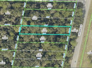 Treiman Boulevard Lot #C48, Webster, FL 33597