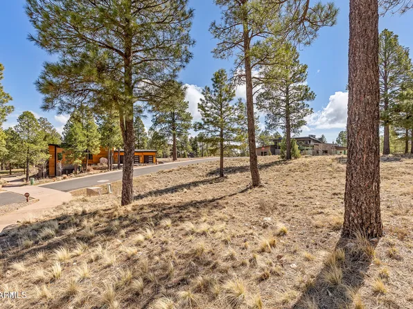 3401 S Brown Sage Court #261, Flagstaff, AZ 86005