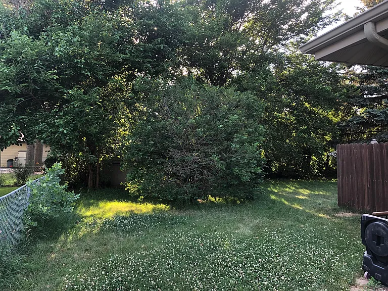4101 S Downing Ave — Photo 19