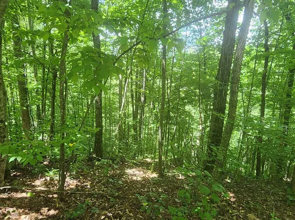 LOT 15 Roaring Ridge Trl, Hiawassee, GA 30546