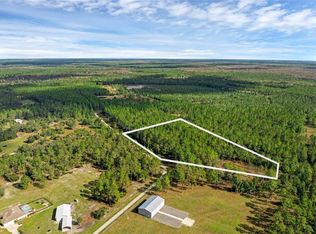 1 Wild Cur Rd LOT 101, Pierson, FL 32180