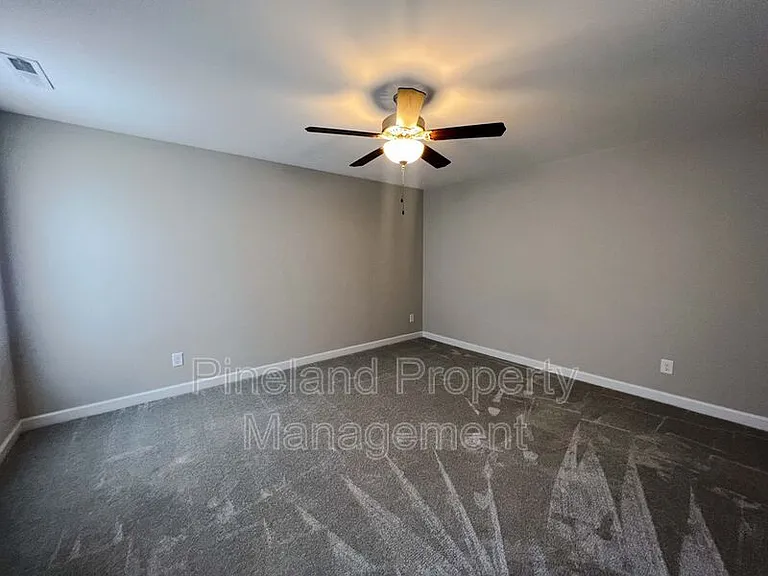 388 Dundee Farm Rd — Photo 12