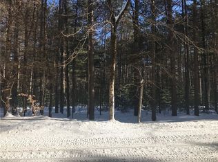 LOT 4 Partridgeville Rd LOT 4, Brantingham, NY 13312