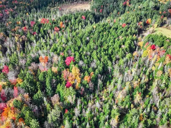 1021 Woods S Road, Warren, VT 05674