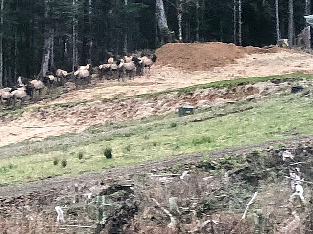2nd image of 180 Parpala Rd