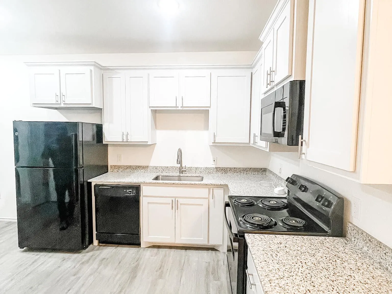 2 bed, 796 sqft, $1,250 — Photo 3