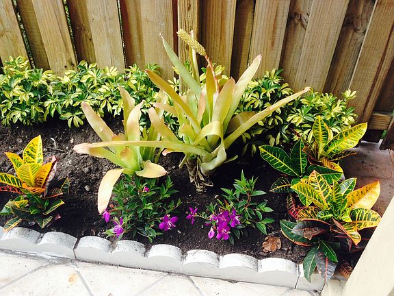 Colorful garden