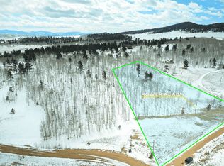 1063 Brahma Ct, Hartsel, CO 80449