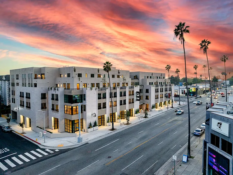 Rae on Sunset — Photo 11