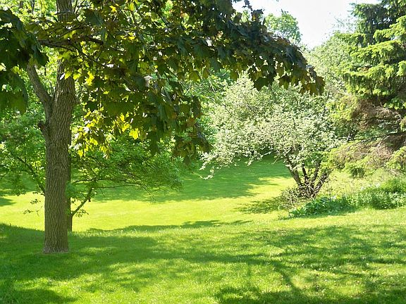 Backyard w conservancy