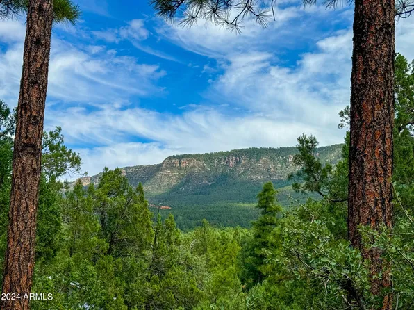 TBD HILLSIDE RD. LOTS 30 & 51 -- #30 & 51, Pine, AZ 85544